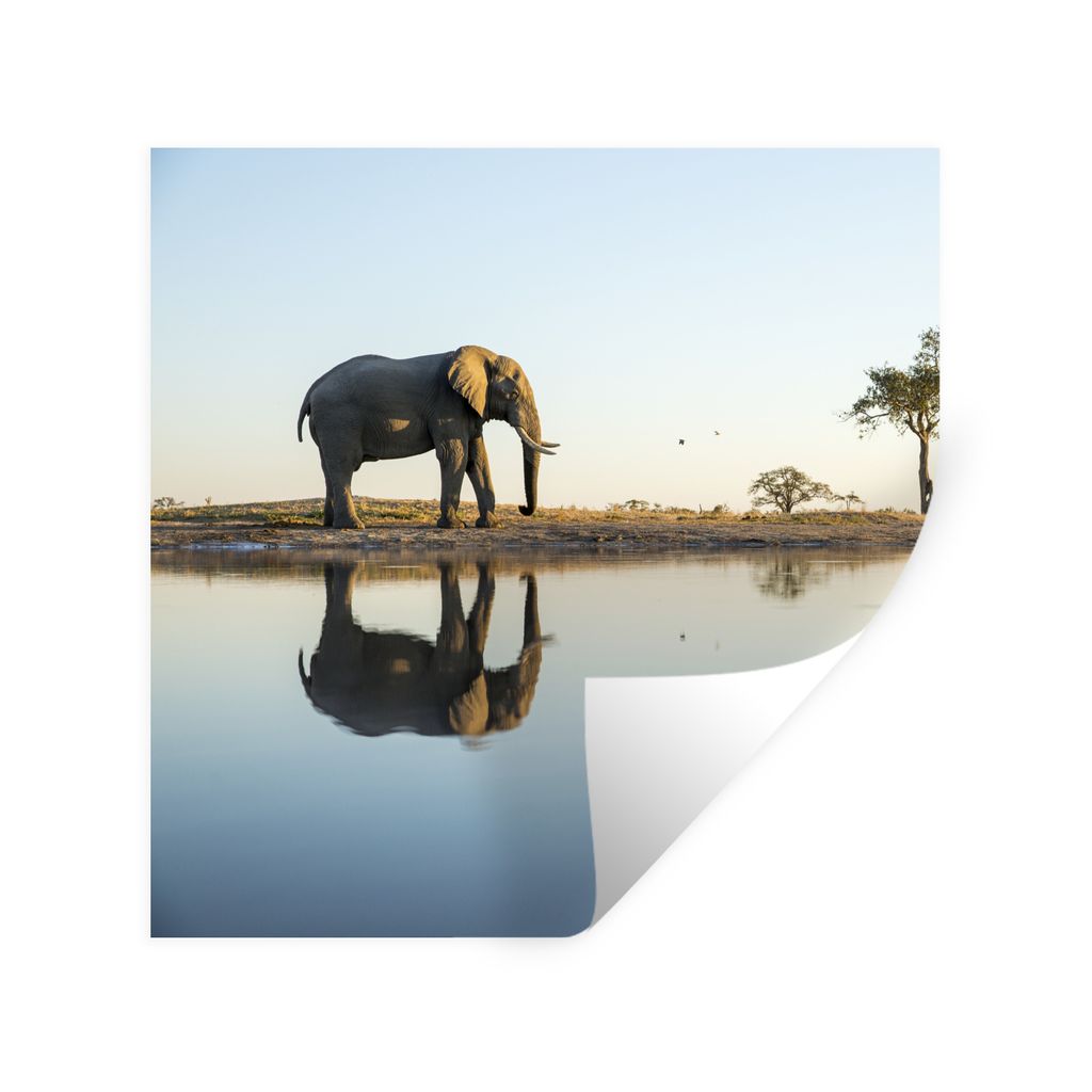 MuchoWow Wandtattoo Wandsticker Wandaufkleber Elefant - Wasser - Bäume - Tiere - Natur 100x100 cm Selbstklebend und Repositionierbar - Wierderve...