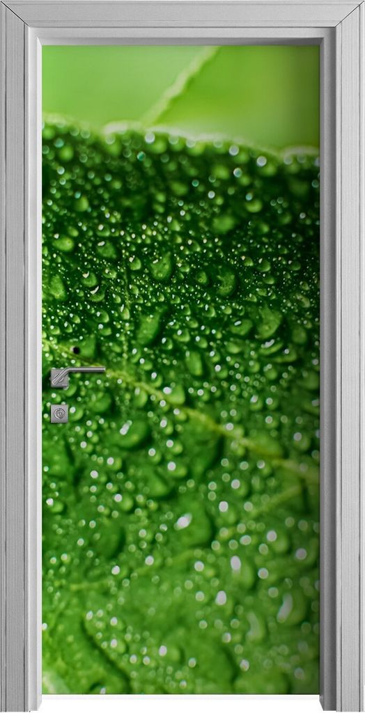 Tür Selbstklebende 90x210 cm Türfolie Türtapete Klebefolie - Limette Blätter