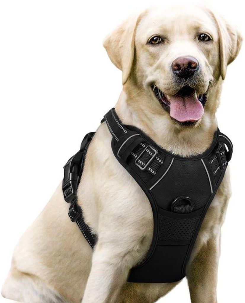 Hundeleine mit Anti-Treksystem, zwei verstellbaren Schnallen, weicher Füllung, reflektierender Oxford-Stoff, Nackenschutz und ergonomischer Griff....