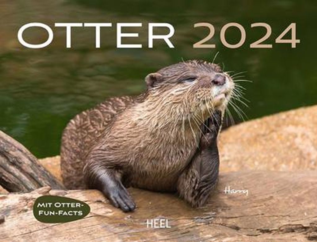 Otter Eintragkalender 2024