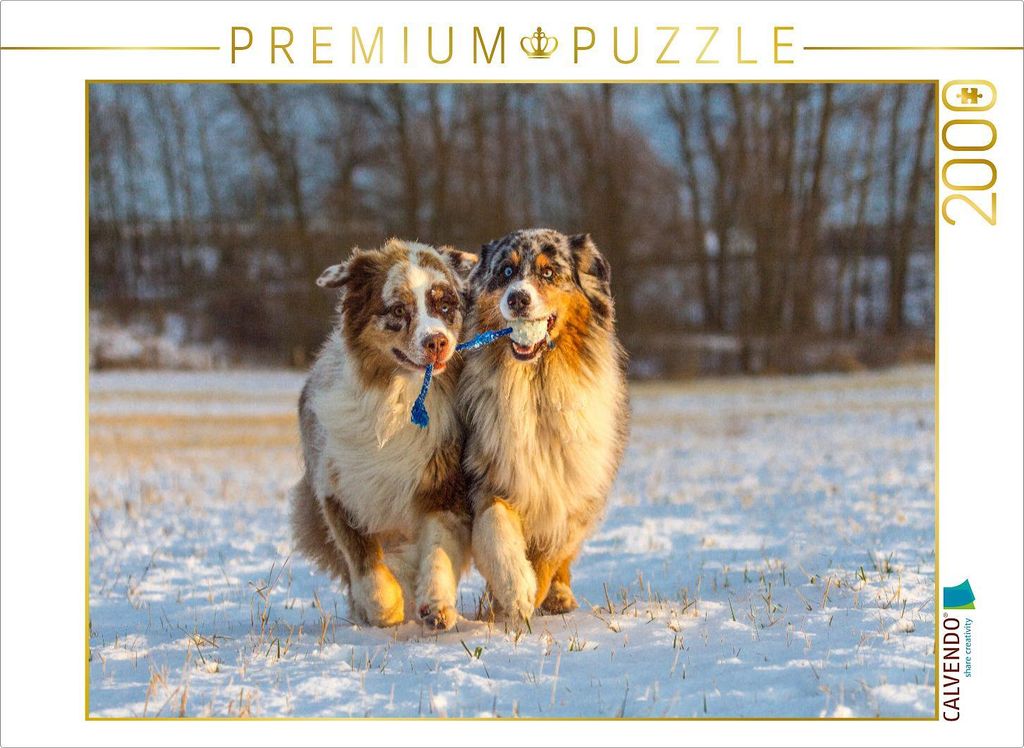 CALVENDO Puzzle Wir ziehen an einem Strang! | 2000 Teile Produktbild 