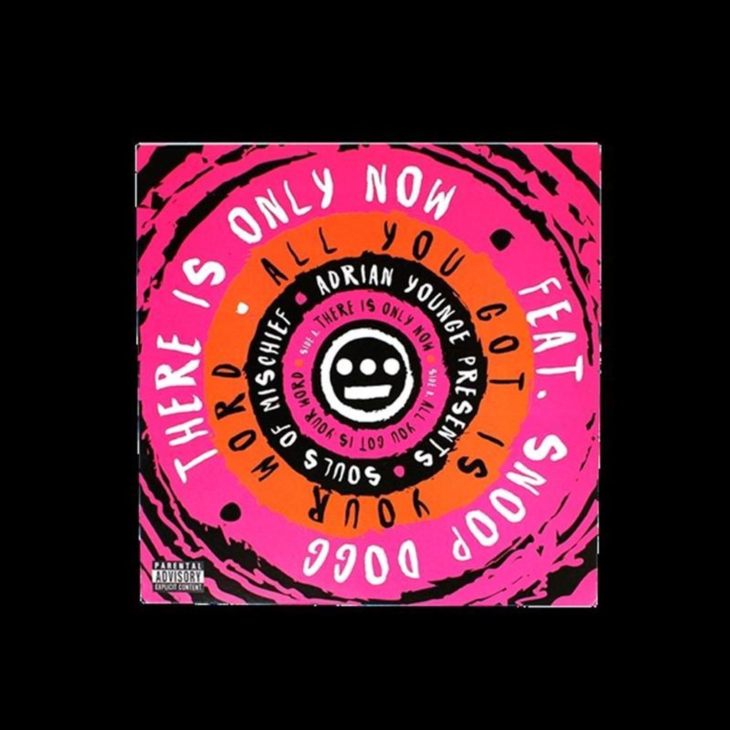Adrian Younge präsentiert: Souls Of Mischief (...)