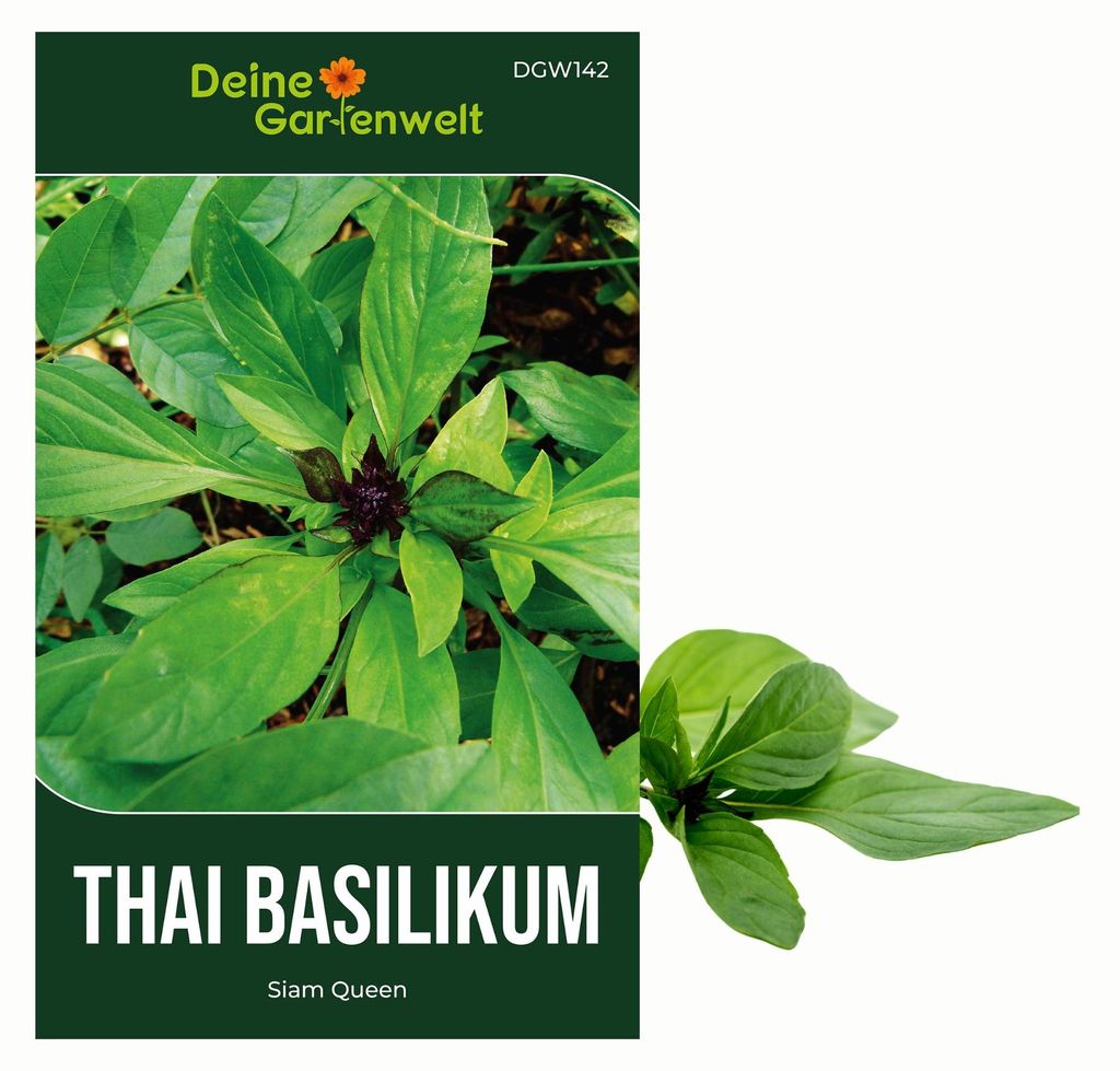 Thai Basilikum Siam Queen Samen - Ocimum basilicum - Basilikumsamen - Kräutersamen - Saatgut für 100 Pflanzen