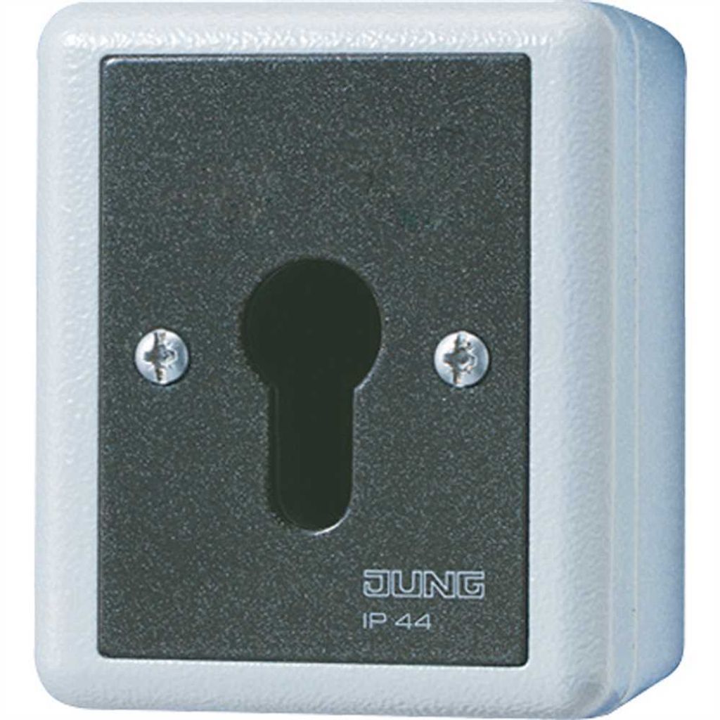 Jung 806.28G Schlüsselschalter