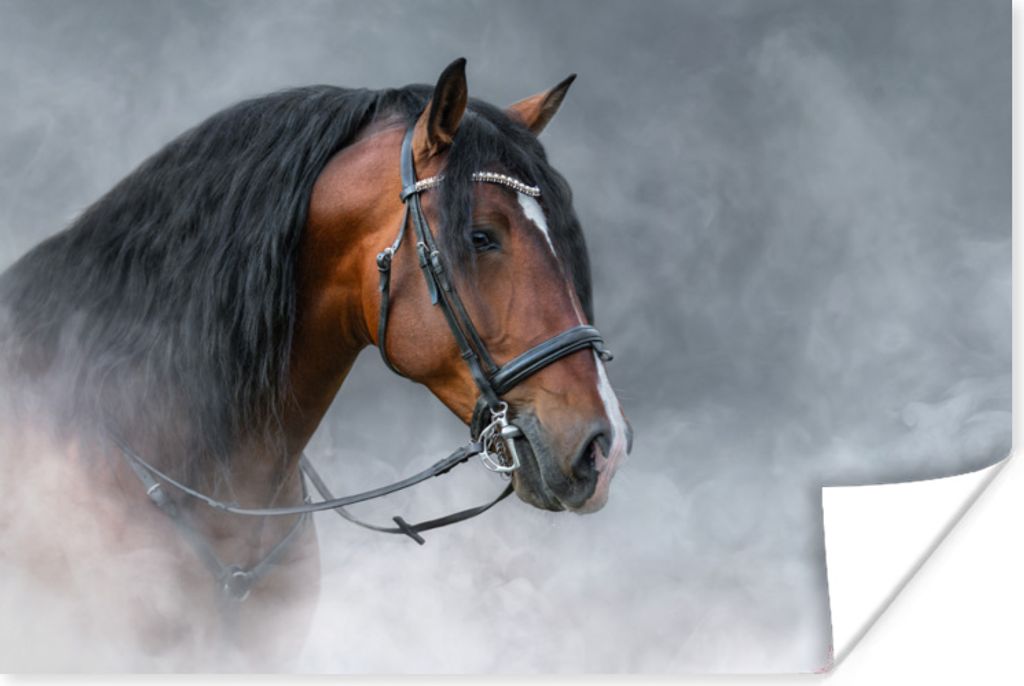 MuchoWow Poster Pferd - Smoke - Schwarz 180x120 cm - Fotoplakat
