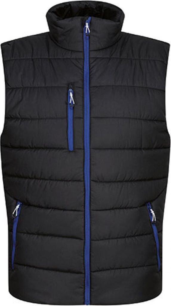 Regatta Professional TRA892 | Herren Navigate Thermal Bodywarmer - Farbe: Black/New Royal - Größe: M