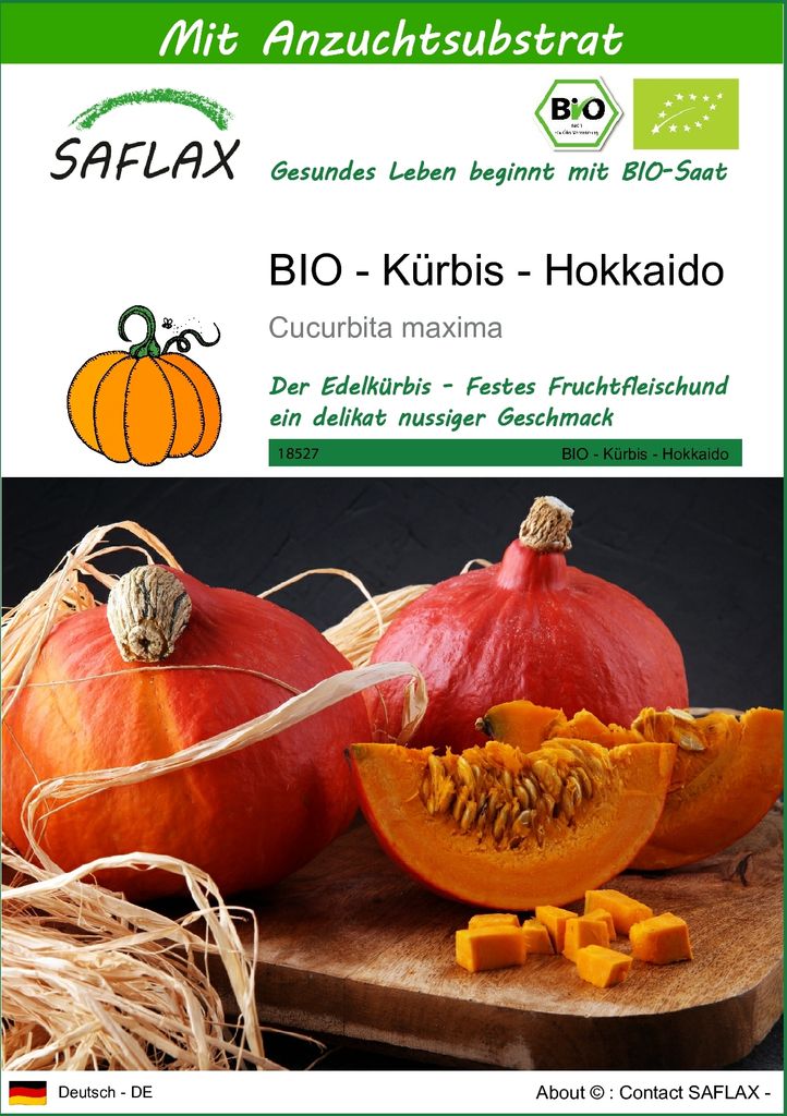 SAFLAX - BIO - Kürbis - Hokkaido - 5 Samen - Mit keimfreiem Anzuchtsubstrat - Cucurbita maxima