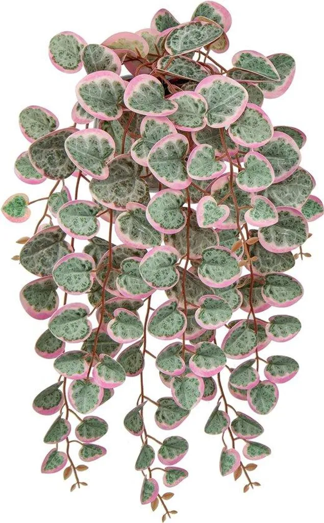 Plante artificielle eucalyptus réaliste et son pot céramique élégant