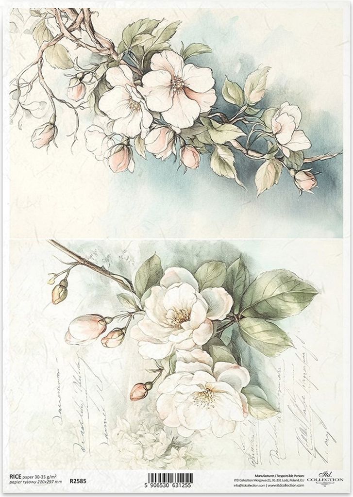 ITD Reispapier Decoupage Bastelpapier Serviettentechnik-R2585 Blumen Zweige Knospen