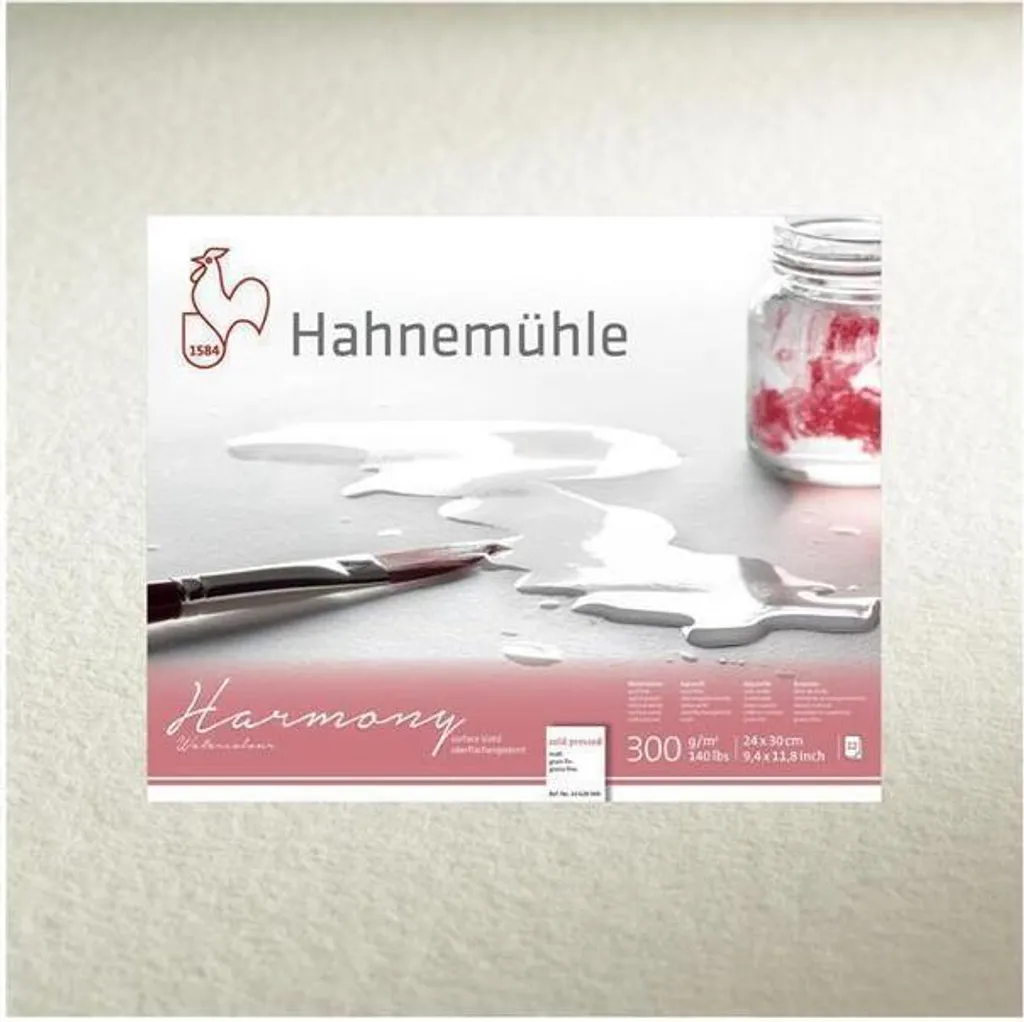 Hahnemühle Harmony Acquerello A 4 opaco 12 fogli 300 g - 3