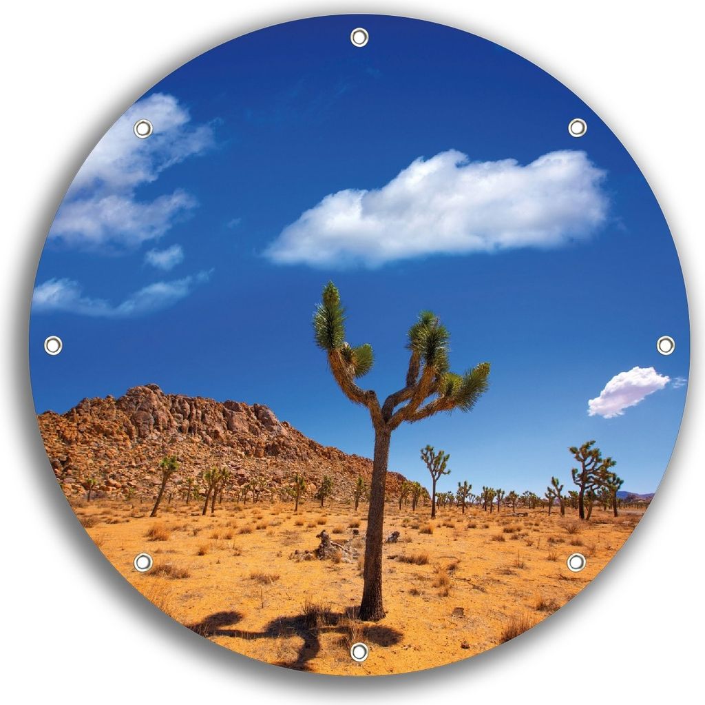 Wallario rundes Outdoor-Poster für Garten oder Balkon, Motiv Palmlilie im Nationalpark Yucca Valley Wüstenlandschaft, 30 cm Durchmesser