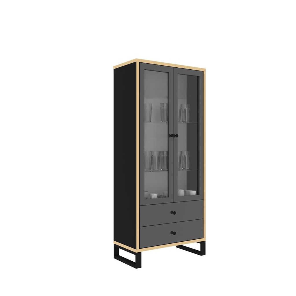 BETTSO Moderne Vitrine für Wohnzimmer 2D2S QUIN Schwarz