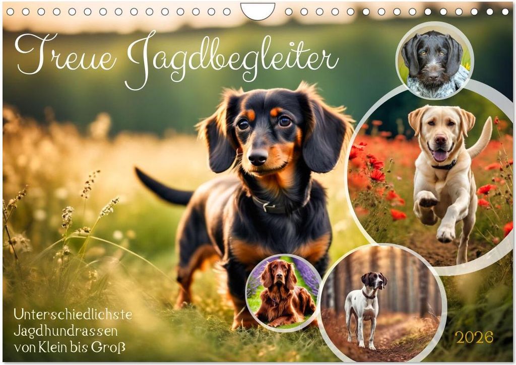 Treue Jagdbegleiter (Wandkalender 2026 DIN A4 quer), CALVENDO Monatskalender