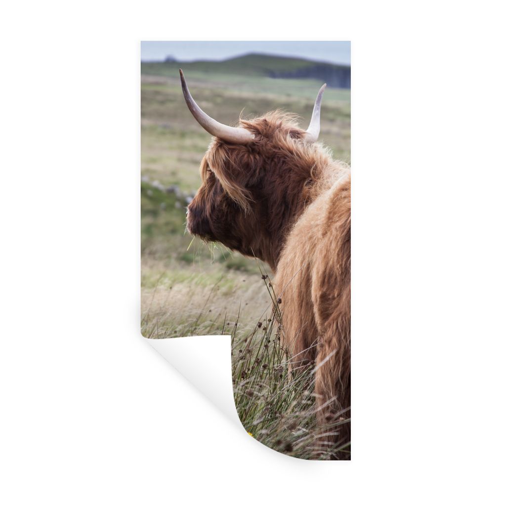 MuchoWow Wandtattoo Wandsticker Wandaufkleber Schottische Highlander - Natur - Meer 20x40 cm Selbstklebend und Repositionierbar - Selbstklebend -...