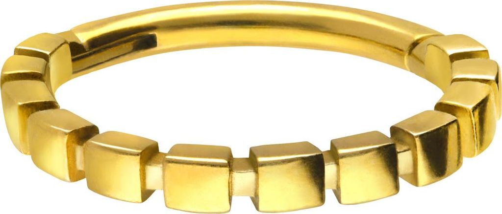 Ohrpiercing, Nasenpiercing, Septum Piercing Chirurgenstahl Segmentring Clicker BLOCK-DESIGN Gold Innendurchmesser: 10 mm