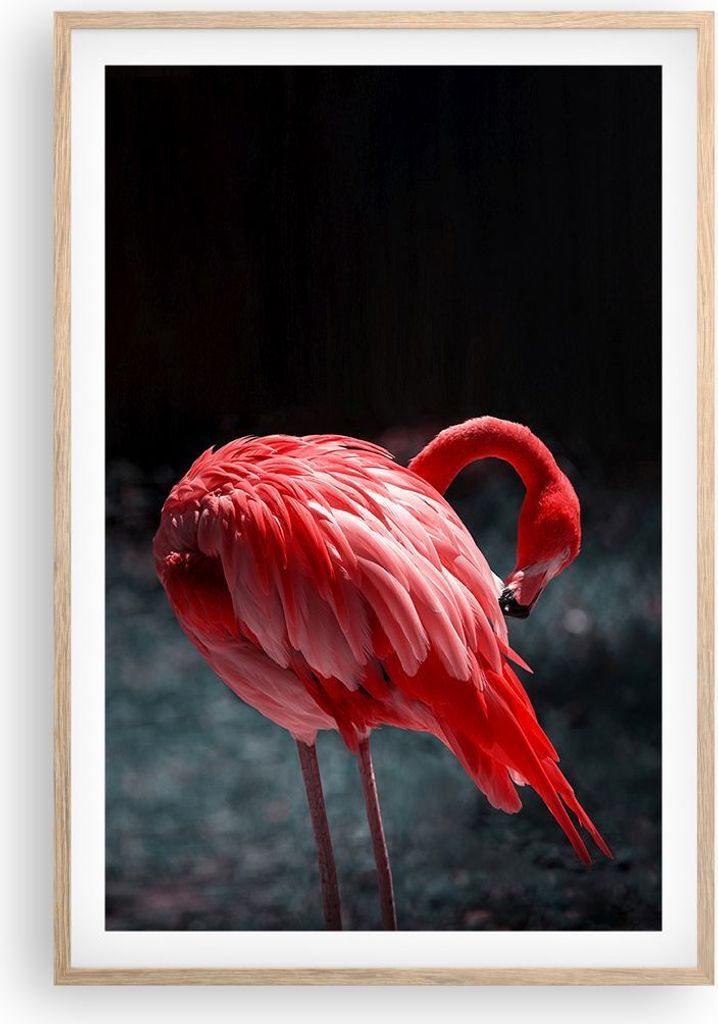 Gerahmtes Poster - Rahmen in heller Eiche - Flamingo Rosa Vogel - 61x91,5 cm - Wand Bild - Wanddeko - Wandbilder - Kunstposter - Wandposter - Bilde...