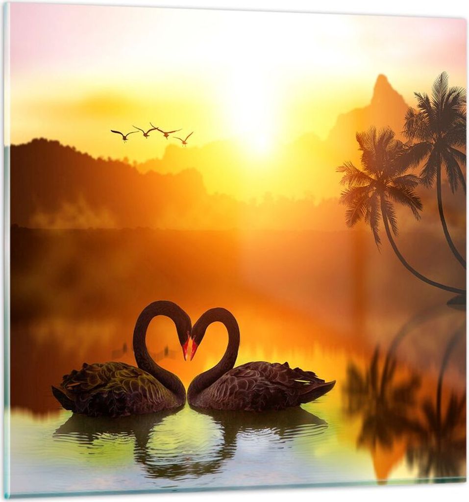 Bilder auf glas - Schwan Wasser Paar - 30x30cm - Glasbilder - Wandbilder - Kunstdruck - zum Aufhängen bereit - Wanddekoration aus Glas - Glas Bild...
