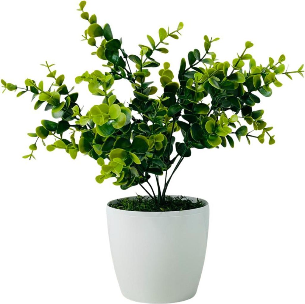 Künstlicher Eukalyptus im Topf 30cm - Raumdekoration
