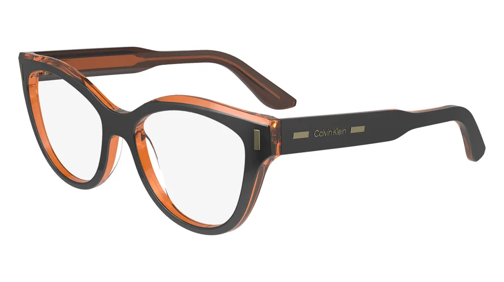 Lunettes de Soleil Calvin Klein CK23541 008 - Solution Confort Dioptrique