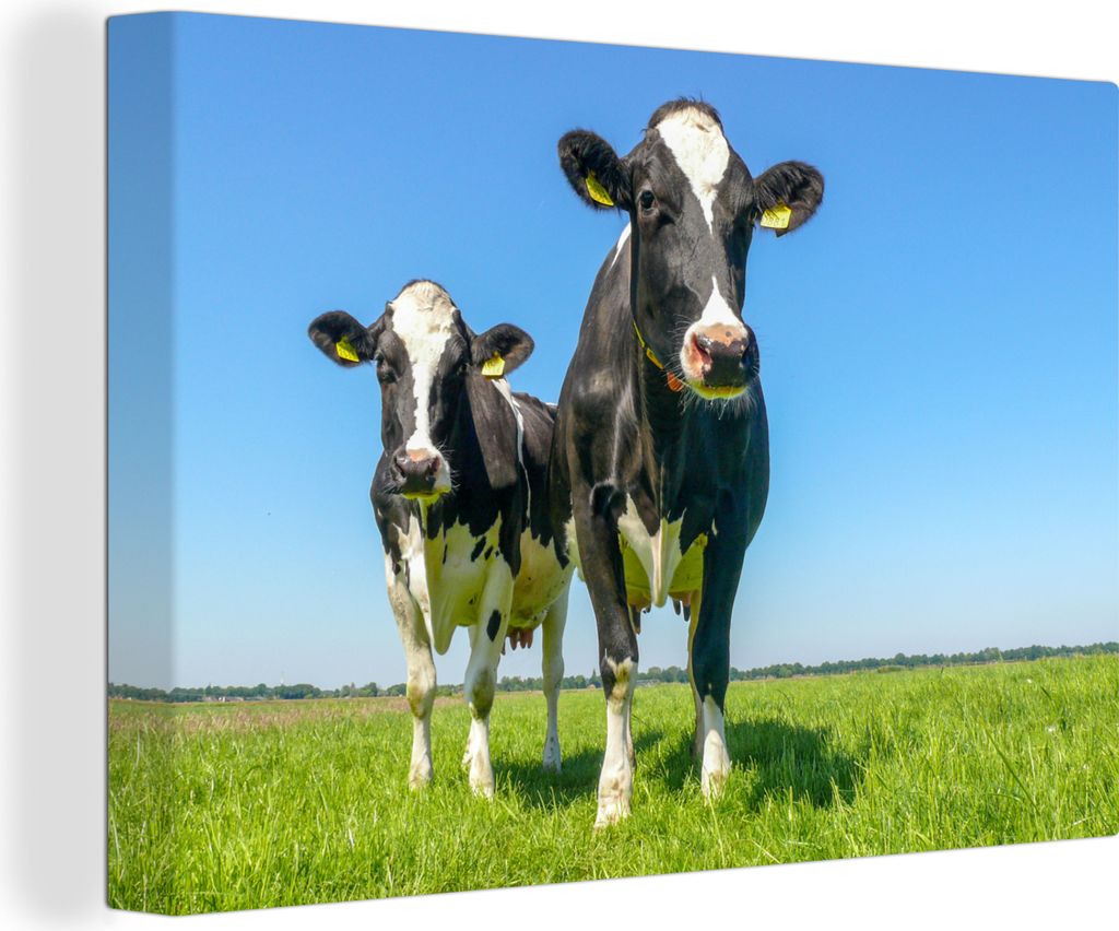 OneMillionCanvasses - Leinwandbilder - 150x100 cm, Kühe - Weide - Tiere - Bauernhof, Wandbilder Kunstdruck Wanddekoration - Foto auf Leinwand - ...