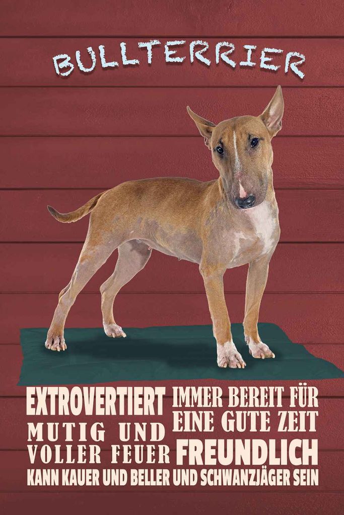 vianmo Holzschild 18x12 cm Bullterrier Hund immer bereit Tier Haustier