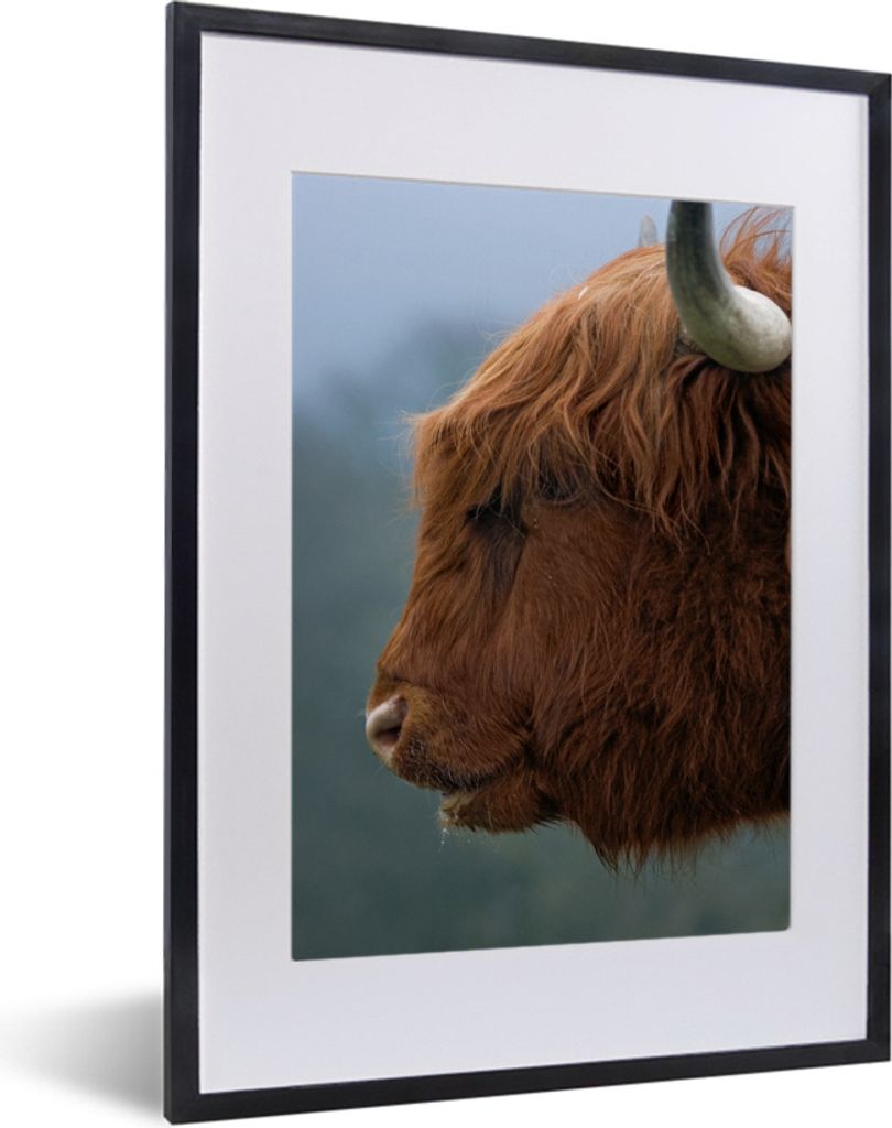 MuchoWow MuchoWow Gerahmtes Poster Schottisches Hochlandrind - Kuh - Nahaufnahme 30x40 cm - Poster mit zchwarzem Bilderrahmen - Wandposter Schl...