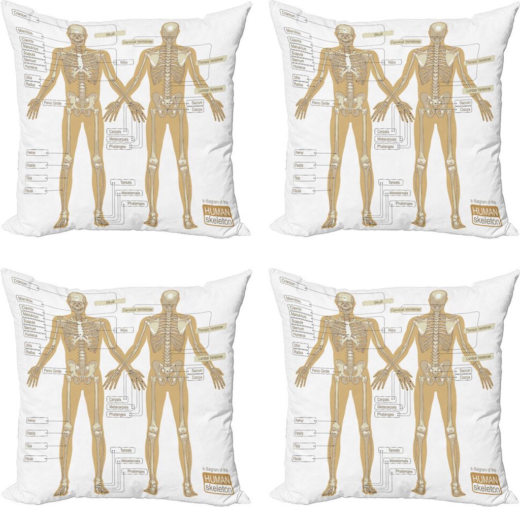 ABAKUHAUS Menschliche Anatomie Kissenbezug Set (4 Stück), Menschliches Skelett-System, Moderner Doppelseitiger Digitaldruck, 40 cm x 40 cm, weiß Tan