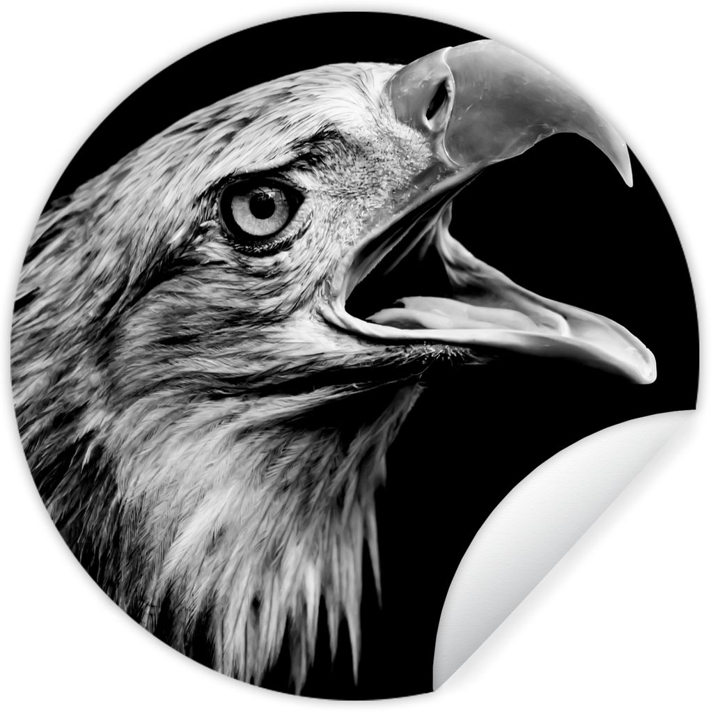 MuchoWow Runde Wandtattoo - Wandsticker Tapete Aufkleber Adler - Porträt - Raubvögel - Schwarz - Weiß - Vogel Ø 30 cm Selbstklebend und Repos...
