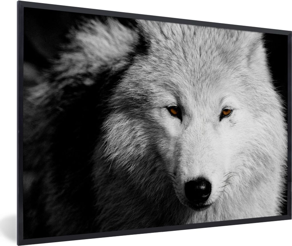 MuchoWow MuchoWow Gerahmtes Poster In der Nähe Ansicht Wolf in Schwarz und Weiß 60x40 cm - Poster mit zchwarzem Bilderrahmen - Printing - Wan...