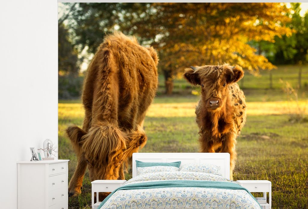 MuchoWow Fototapete für Wohnzimmer oder Schlafzimmer Wandtapete Vinyl Motivtapete Schottischer Highlander - Kalb - Herbst - 300x240 cm - Fototap...
