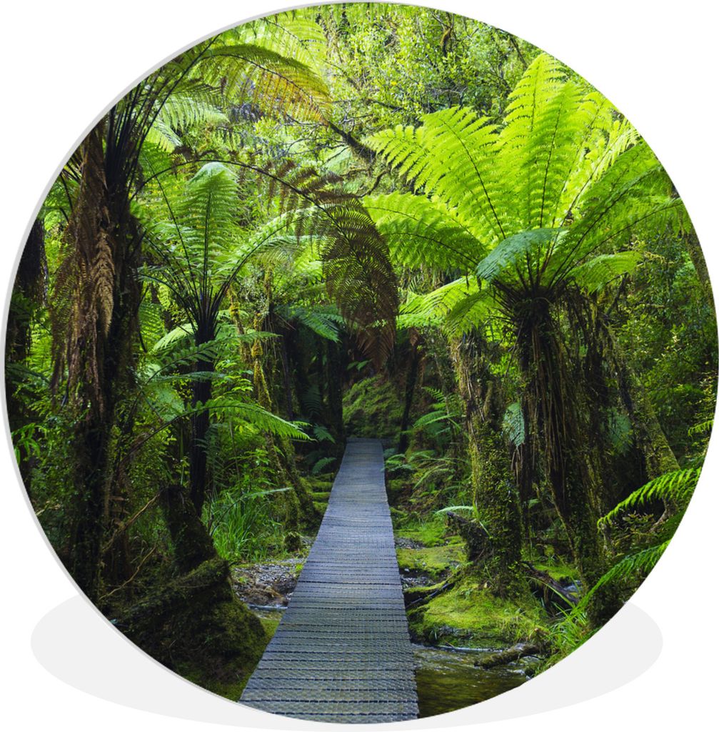 MuchoWow Rundes Wandbild - Runde Bilder Neuseeland - Pfad - Dschungel Ø 90 cm Kreis Wanddekoration Kunststoff - Wandkreis - Wandschmuck - Wand-K...