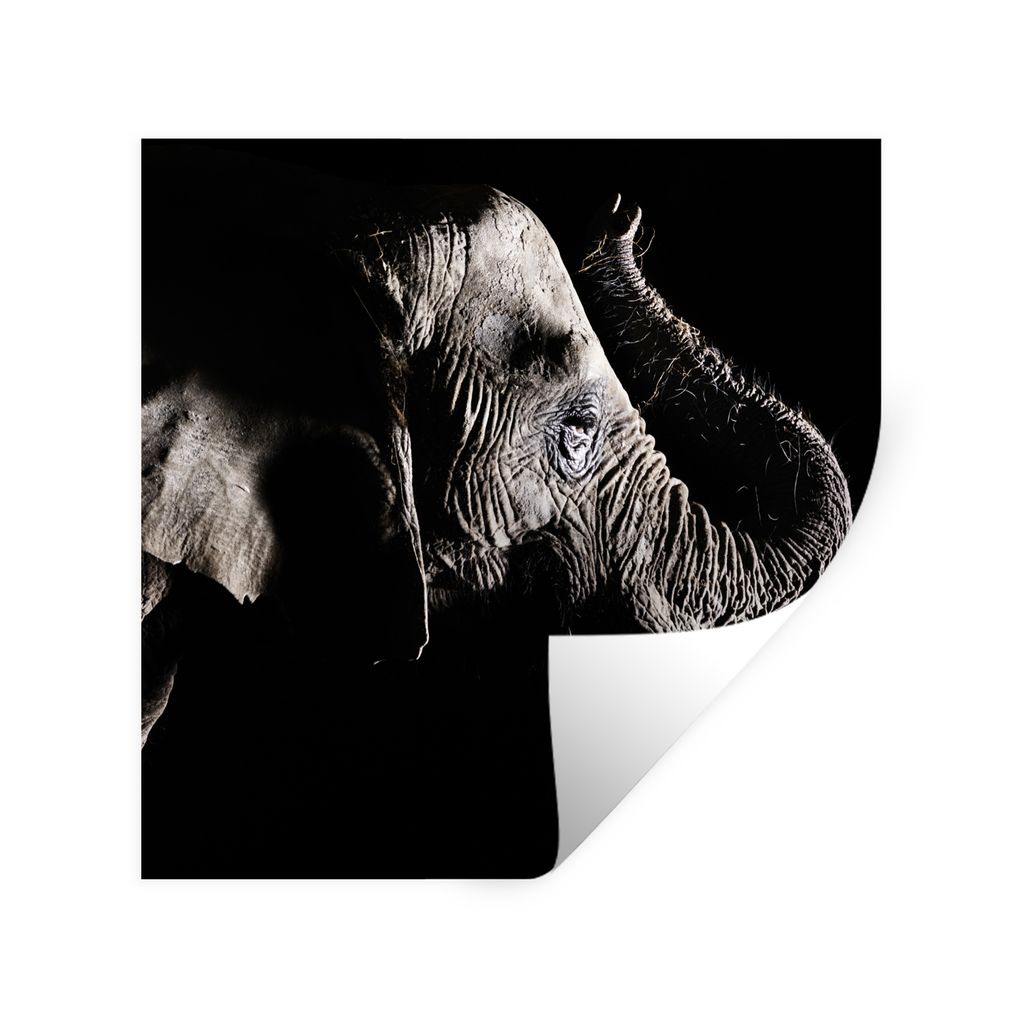 MuchoWow Wandtattoo Wandsticker Wandaufkleber Elefant - Schwarz - Tiere - Natur 30x30 cm Selbstklebend und Repositionierbar - Repositionierbar - ...