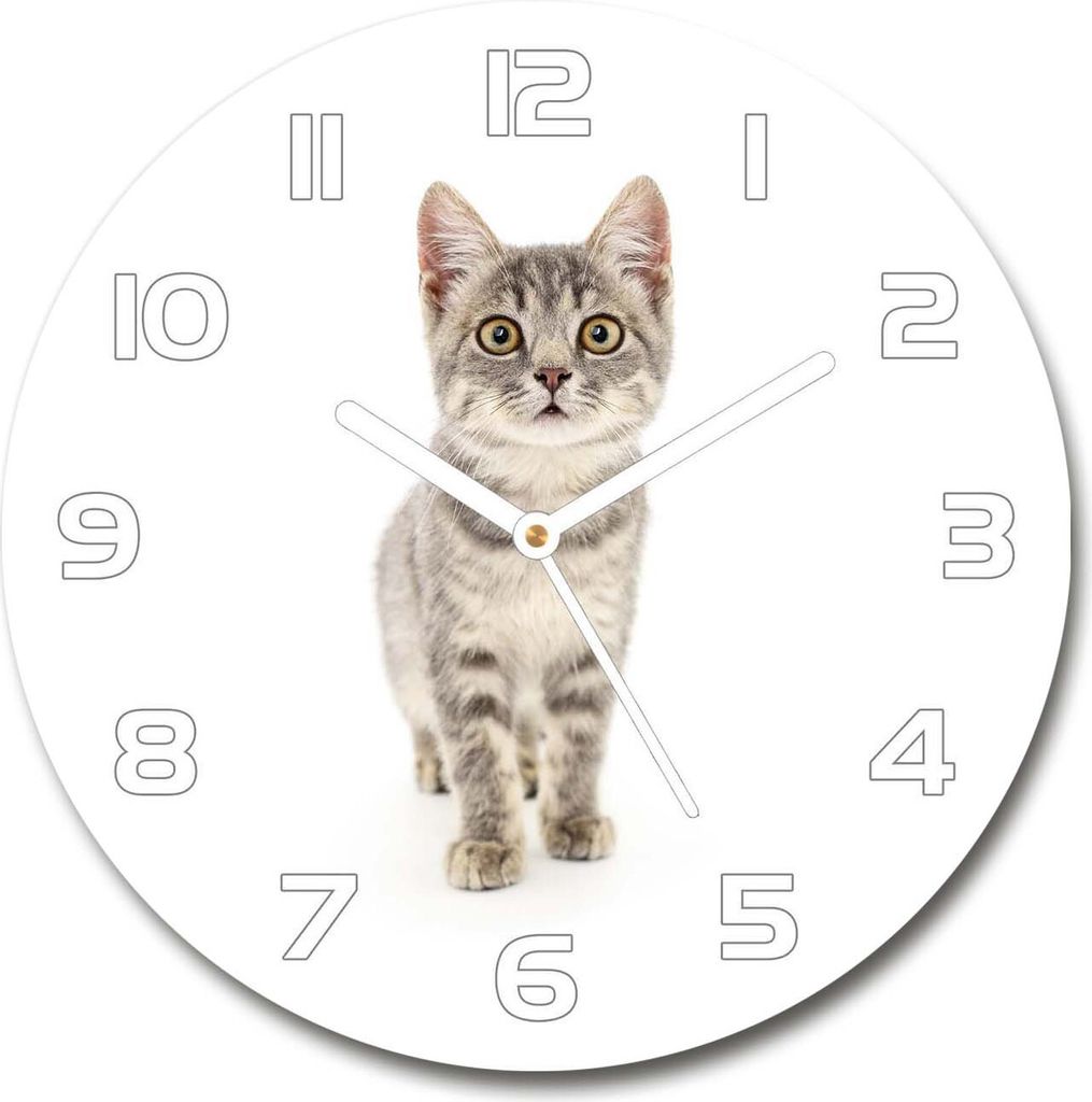 Wanduhr aus Glas 30fi Glasbild Glasuhr Gehärtetes Glas - weisse-zeiger - Gray cat