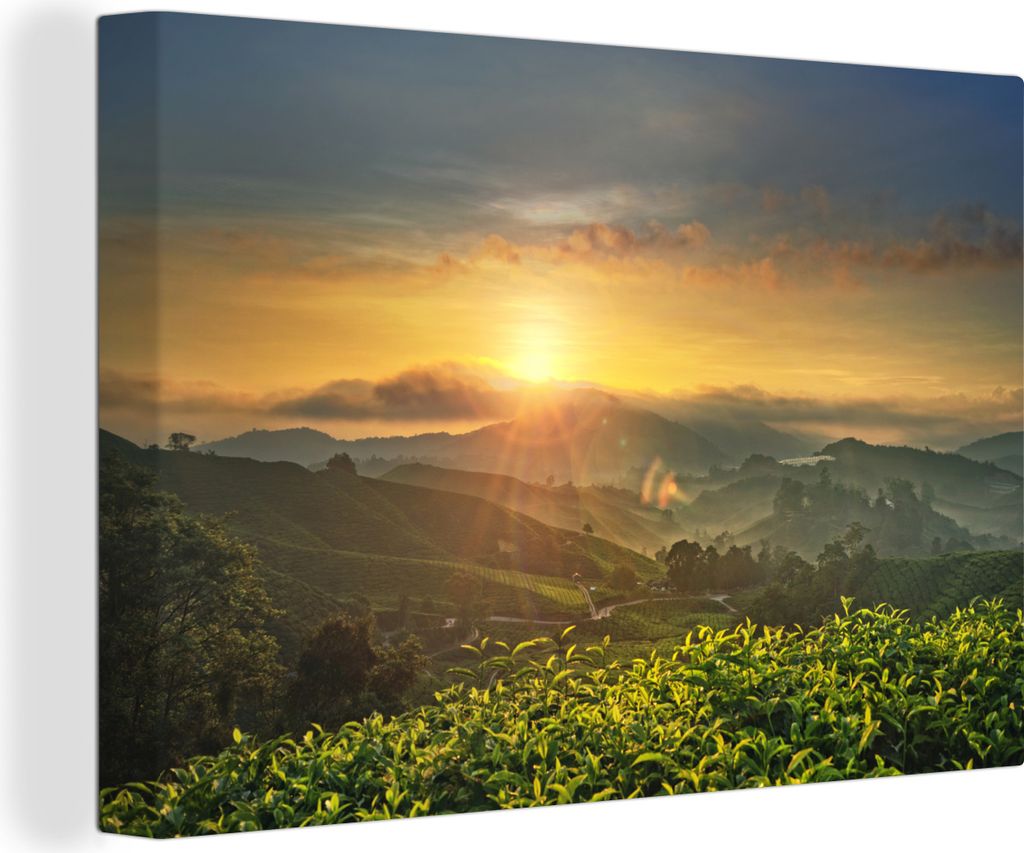OneMillionCanvasses - Leinwandbilder - 140x90 cm, Teeplantagen bei Sonnenuntergang in Malaysia, Wandbilder Kunstdruck Wanddekoration