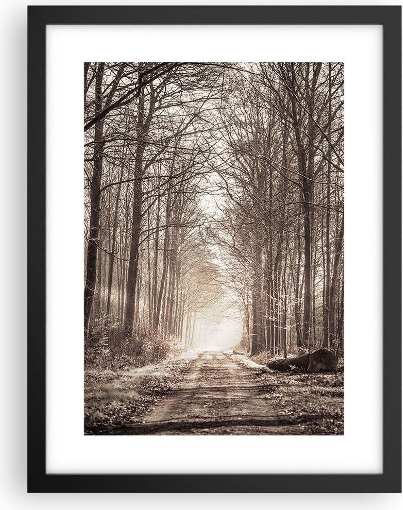 Gerahmtes Poster - Schwarzer Rahmen - Wald Straße Baum - 30x40 cm - Wand Bild - Wanddeko - Wandbilder - Kunstposter - Wandposter - Bilderrahmen - ...