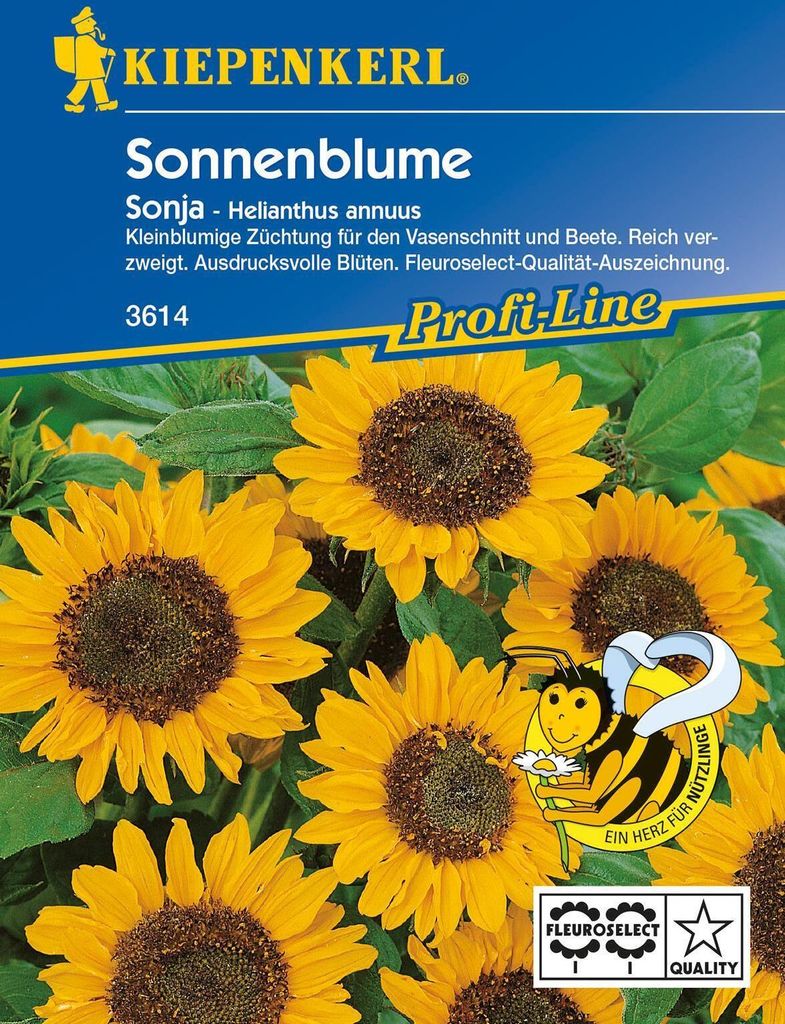 Kiepenkerl Sonnenblume Sonja F1 Inhalt reicht für ca. 40 Pflanzen