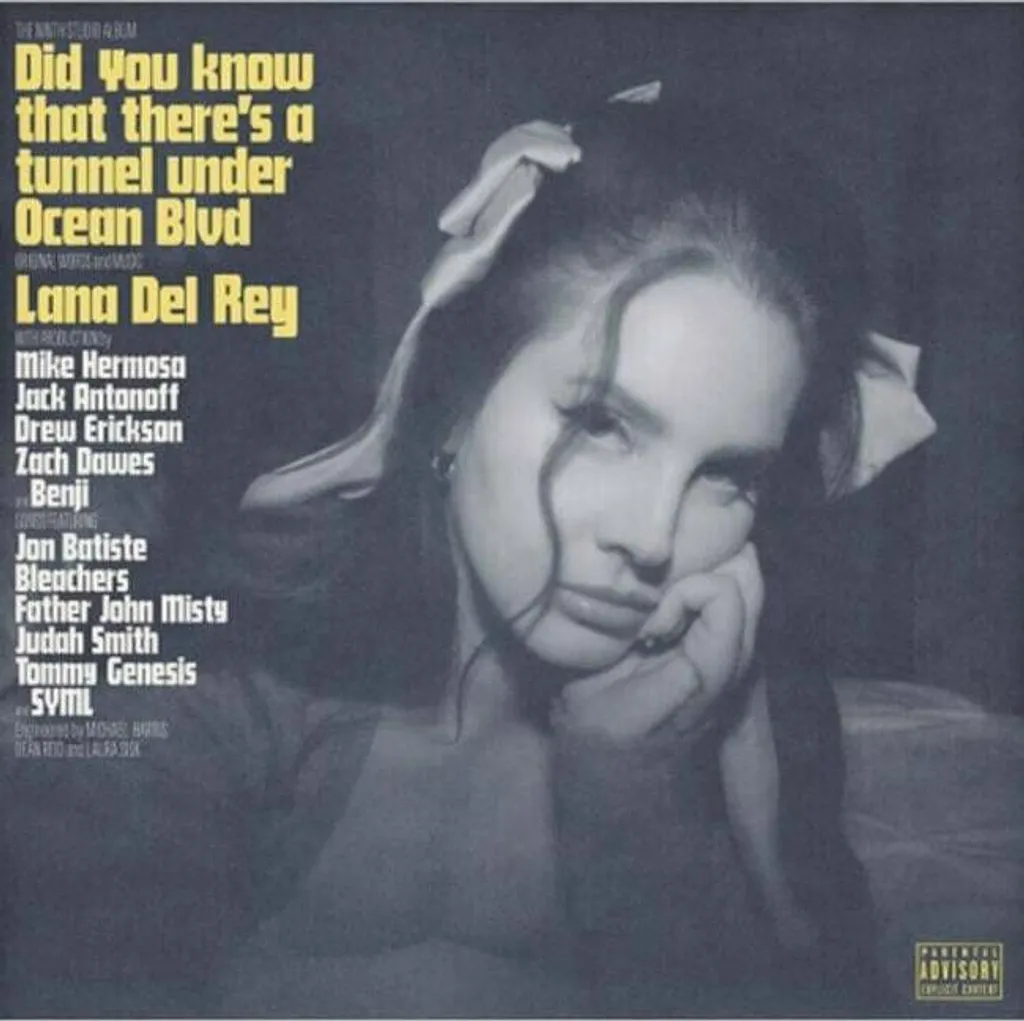 Double Vinyle Lana Del Rey Did You Know That There's a Tunnel LP Album
