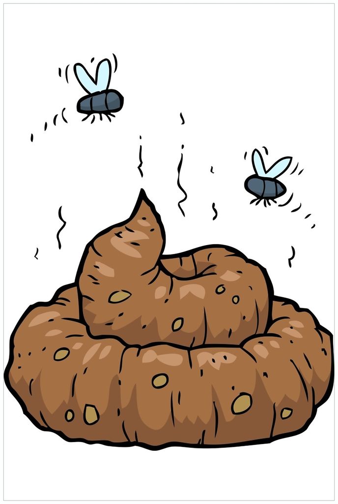 Wallario Premium Glasbild, freischwebende Optik, kräftige Farben, Größe 90 x 60 cm Motiv Comic Scheißhaufen mit Fliegen