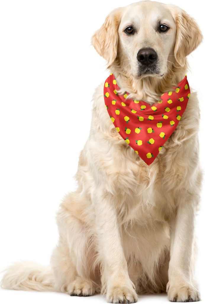 ABAKUHAUS Frucht-Kunst Haustier Bandana, Gelbe Äpfel mit Blättern, 55x55 cm, Vermilion Gelb und Grün
