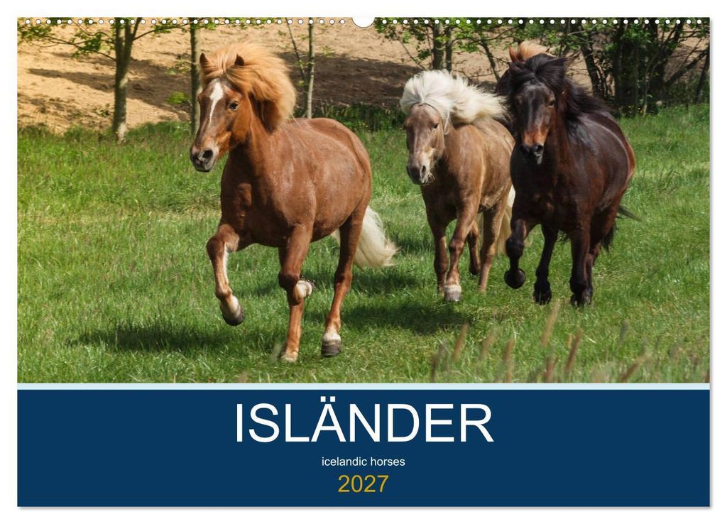 Isländer - icelandic horses (Wandkalender 2027 DIN A2 quer), CALVENDO Monatskalender