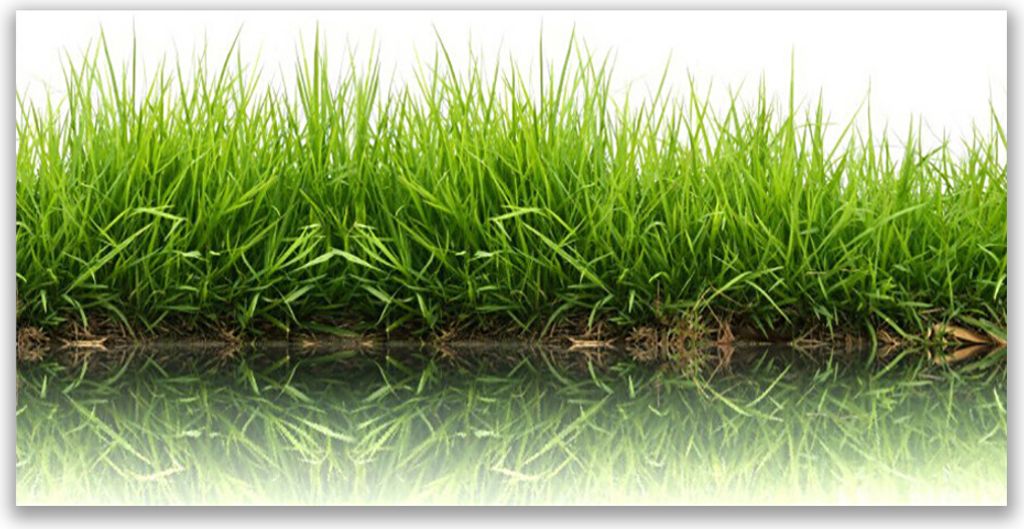 Tulup Leinwand-Bilder 140x70 Wandbild Canvas Kunstdruck Gras Natur