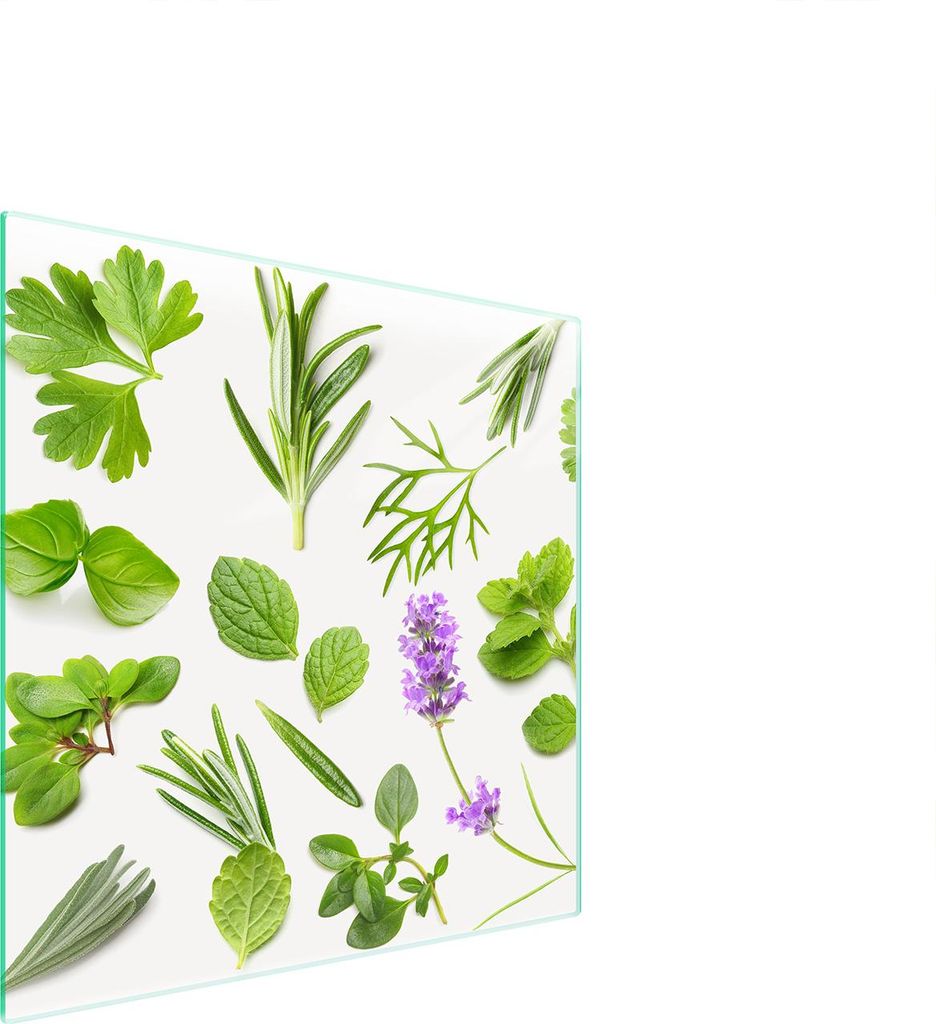 Glasschutzplatte Für Herd 50X52 Pflanzen