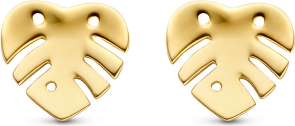 Filigrane Ohrstecker echt Gold 585 (14 kt) Motiv Blatt