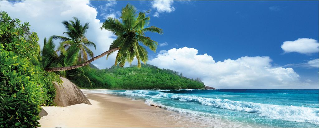 Wallario Poster - Urlaub auf den Seychellen unter Palmen am Sandstrand, Kunstdruck Größe: 50 x 125 cm