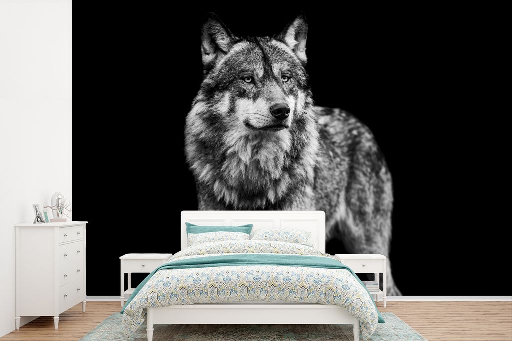 MuchoWow Fototapete für Wohnzimmer oder Schlafzimmer Wandtapete Vinyl Motivtapete Wolf - Tiere - Wild - Schwarz - Weiß - 600x400 cm - Vinyltapeten