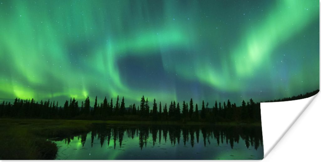 MuchoWow Poster Nordlicht - Bäume - Wasser - Alaska 80x40 cm - Wanddeko