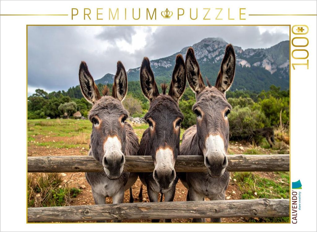 CALVENDO Puzzle Drei fröhliche Esel | 1000 Teile Lege-Größe 64x48cm Foto-Puzzle für glückliche Stunden