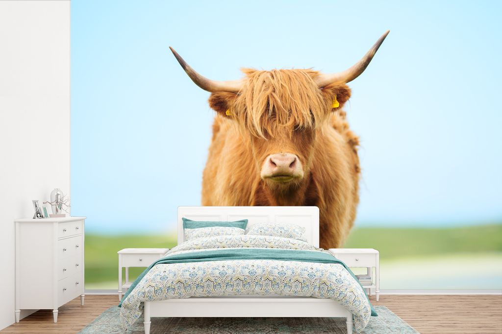 MuchoWow Fototapete für Wohnzimmer oder Schlafzimmer Wandtapete Vinyl Motivtapete Schottischer Highlander - Haare - Gras - 390x260 cm - Papierta...