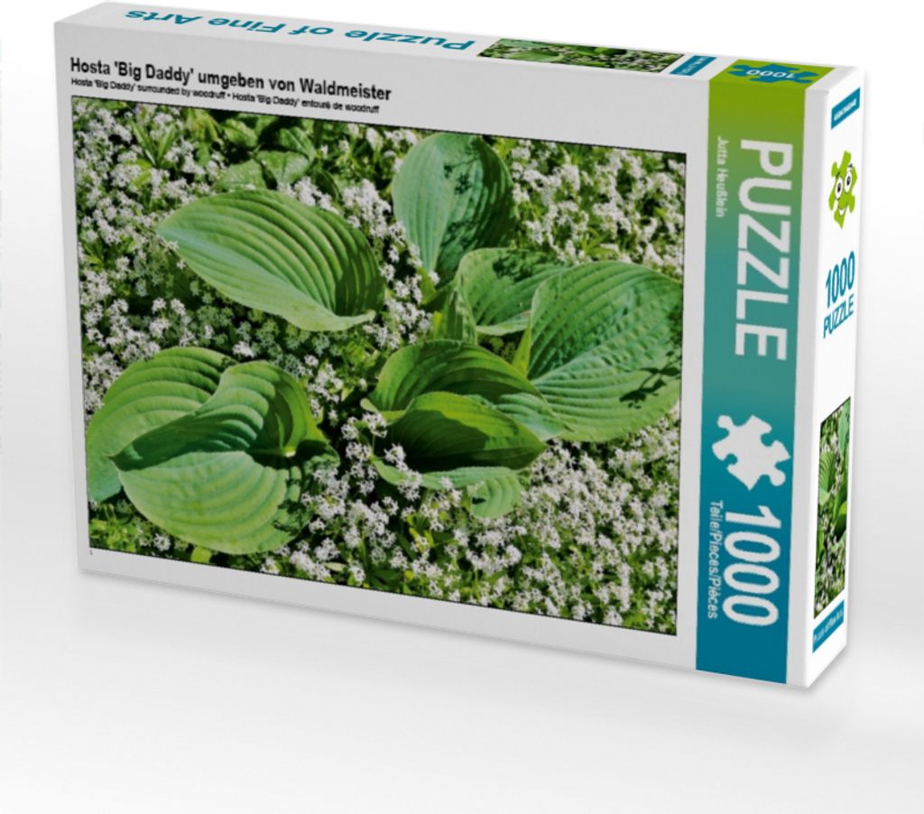 Calvendo Hosta 'Big Daddy' umgeben von Waldmeister 1000 Teile Puzzle quer 640x480mm, Heußlein Jutta; 7427799