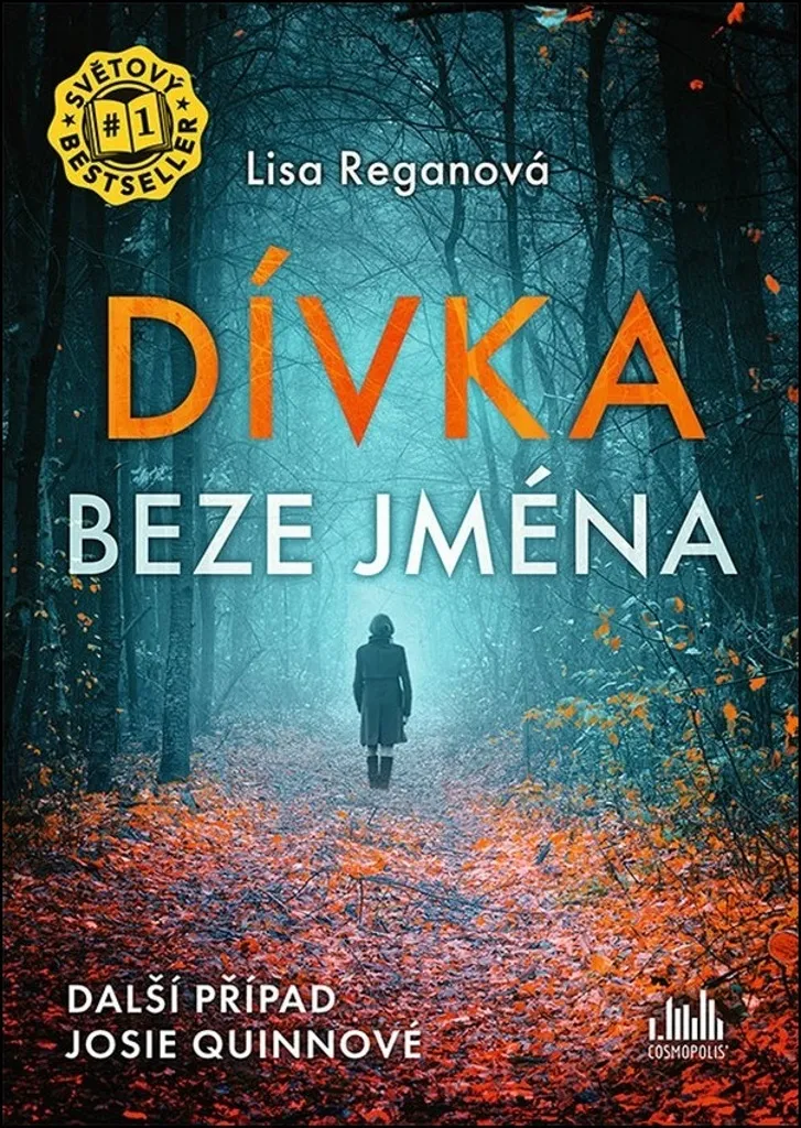 Dívka beze jména Thriller Lisa Regan Intrigue Captivante et Mystérieuse